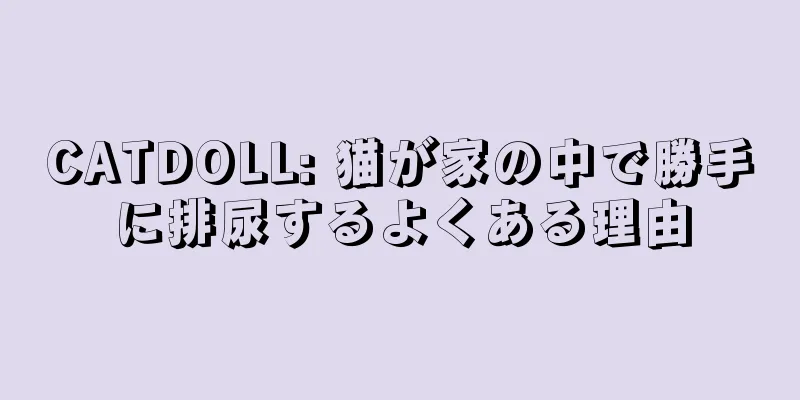CATDOLL: 猫が家の中で勝手に排尿するよくある理由