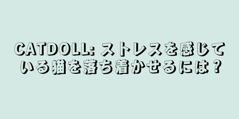 CATDOLL: ストレスを感じている猫を落ち着かせるには？