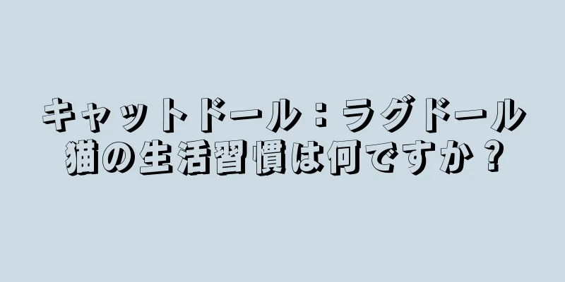キャットドール：ラグドール猫の生活習慣は何ですか？
