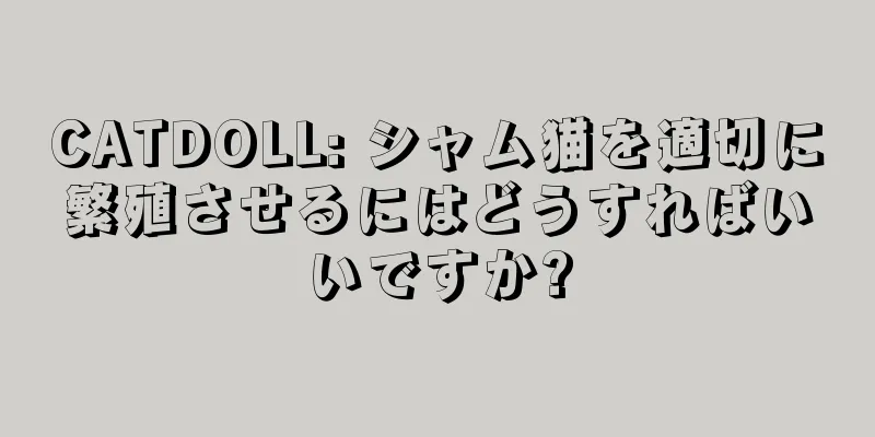 CATDOLL: シャム猫を適切に繁殖させるにはどうすればいいですか?