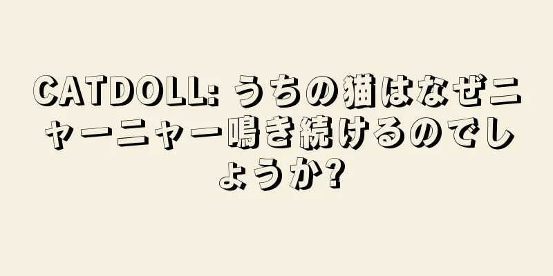 CATDOLL: うちの猫はなぜニャーニャー鳴き続けるのでしょうか?