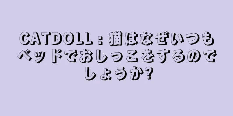 CATDOLL : 猫はなぜいつもベッドでおしっこをするのでしょうか?