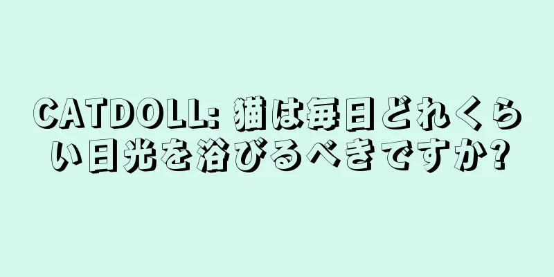 CATDOLL: 猫は毎日どれくらい日光を浴びるべきですか?