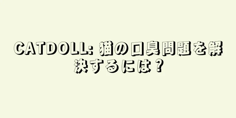 CATDOLL: 猫の口臭問題を解決するには？