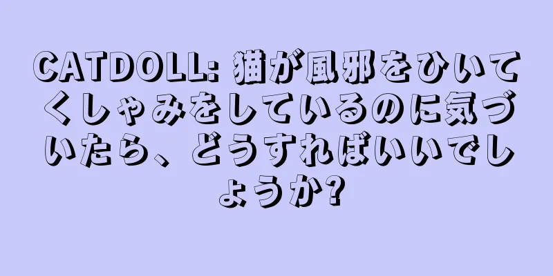 CATDOLL: 猫が風邪をひいてくしゃみをしているのに気づいたら、どうすればいいでしょうか?