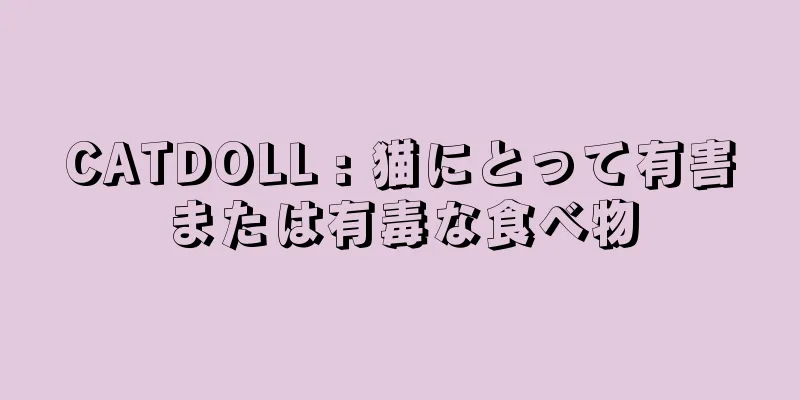 CATDOLL : 猫にとって有害または有毒な食べ物