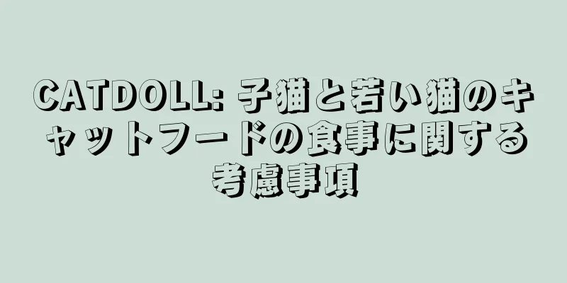 CATDOLL: 子猫と若い猫のキャットフードの食事に関する考慮事項