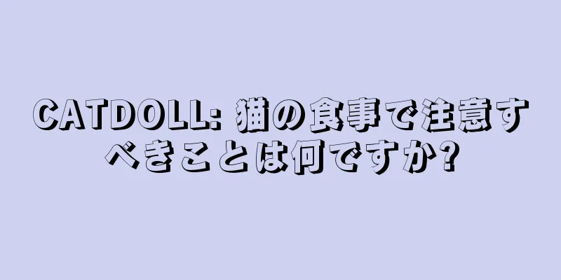 CATDOLL: 猫の食事で注意すべきことは何ですか?