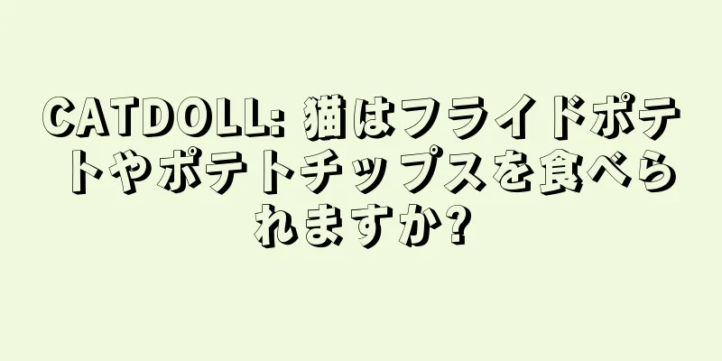 CATDOLL: 猫はフライドポテトやポテトチップスを食べられますか?