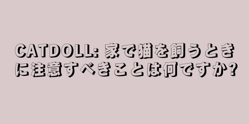 CATDOLL: 家で猫を飼うときに注意すべきことは何ですか?