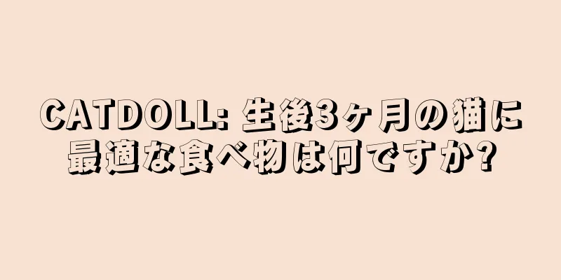 CATDOLL: 生後3ヶ月の猫に最適な食べ物は何ですか?