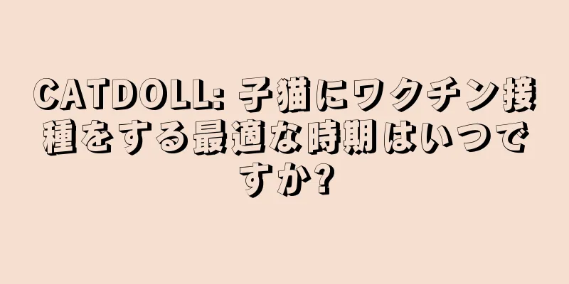 CATDOLL: 子猫にワクチン接種をする最適な時期はいつですか?