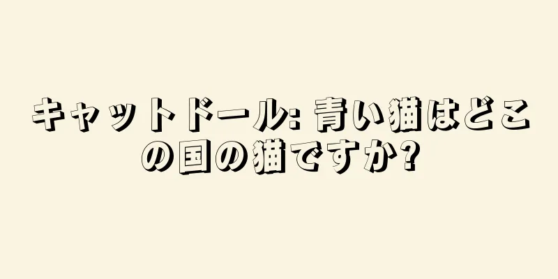 キャットドール: 青い猫はどこの国の猫ですか?