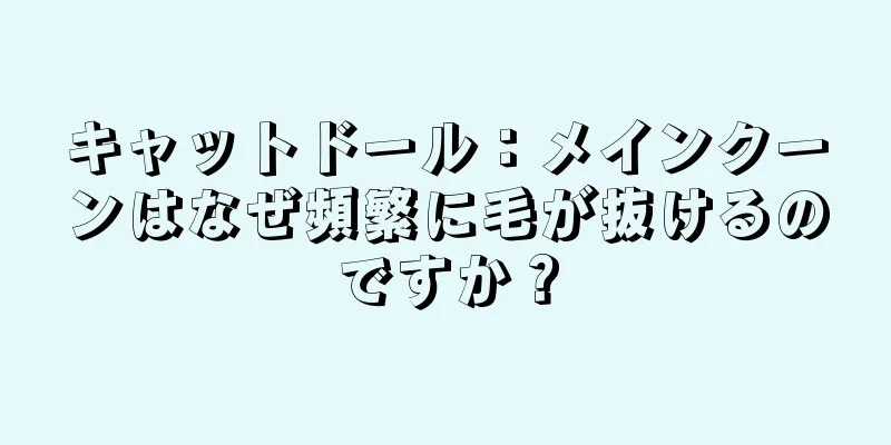 キャットドール：メインクーンはなぜ頻繁に毛が抜けるのですか？