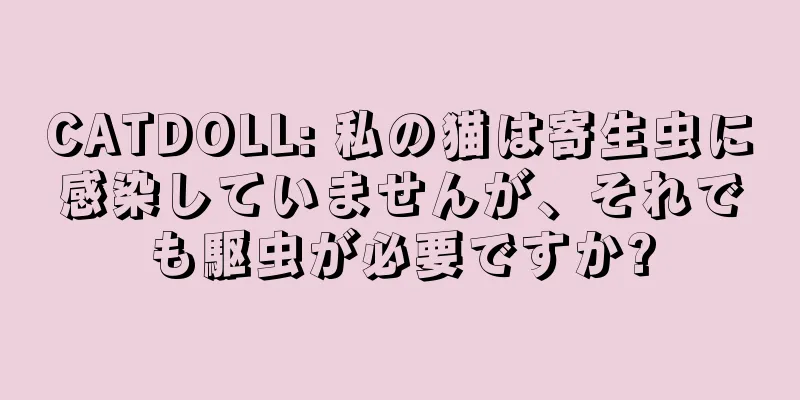 CATDOLL: 私の猫は寄生虫に感染していませんが、それでも駆虫が必要ですか?