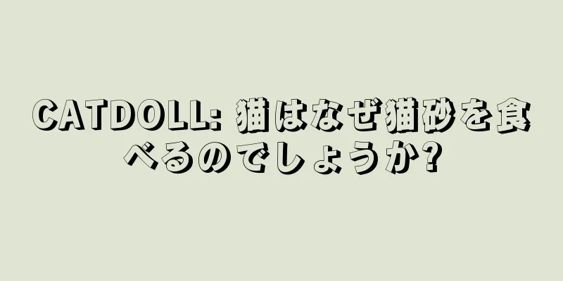 CATDOLL: 猫はなぜ猫砂を食べるのでしょうか?