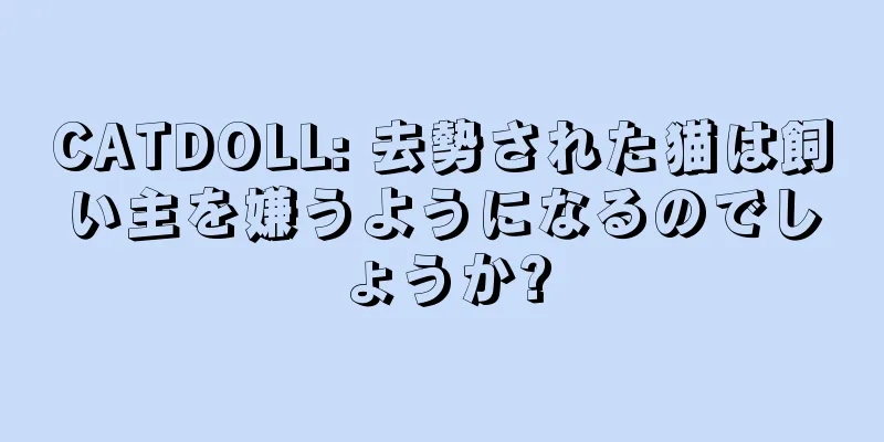 CATDOLL: 去勢された猫は飼い主を嫌うようになるのでしょうか?