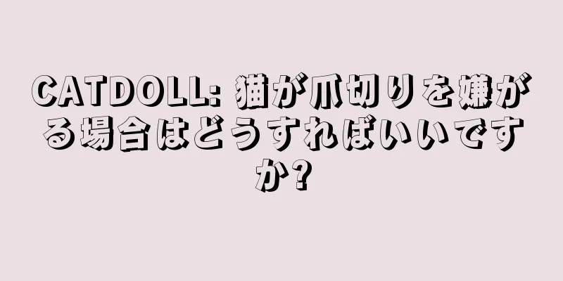 CATDOLL: 猫が爪切りを嫌がる場合はどうすればいいですか?