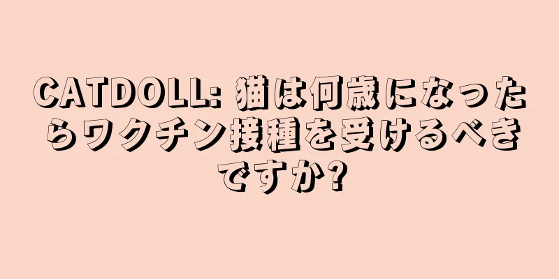 CATDOLL: 猫は何歳になったらワクチン接種を受けるべきですか?