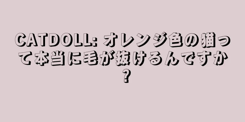 CATDOLL: オレンジ色の猫って本当に毛が抜けるんですか？