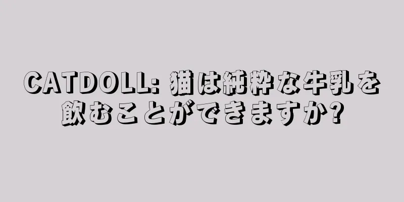 CATDOLL: 猫は純粋な牛乳を飲むことができますか?