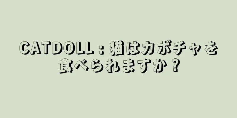 CATDOLL : 猫はカボチャを食べられますか？