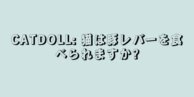 CATDOLL: 猫は豚レバーを食べられますか?