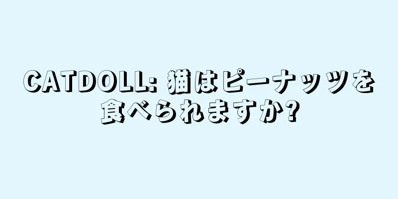 CATDOLL: 猫はピーナッツを食べられますか?