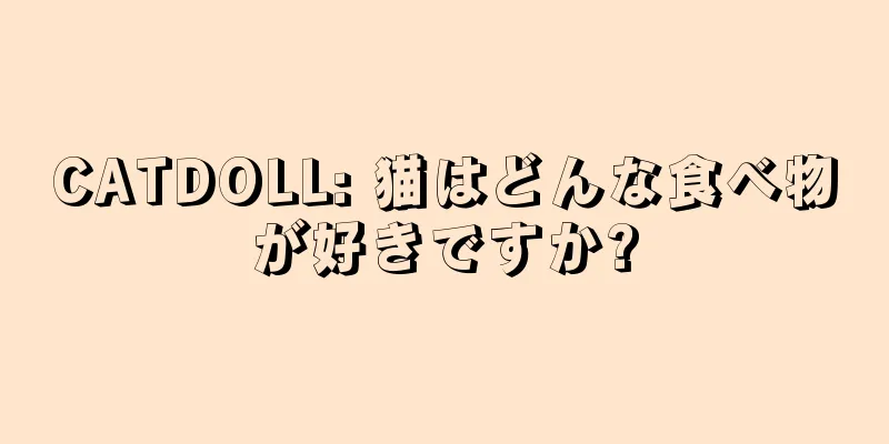 CATDOLL: 猫はどんな食べ物が好きですか?
