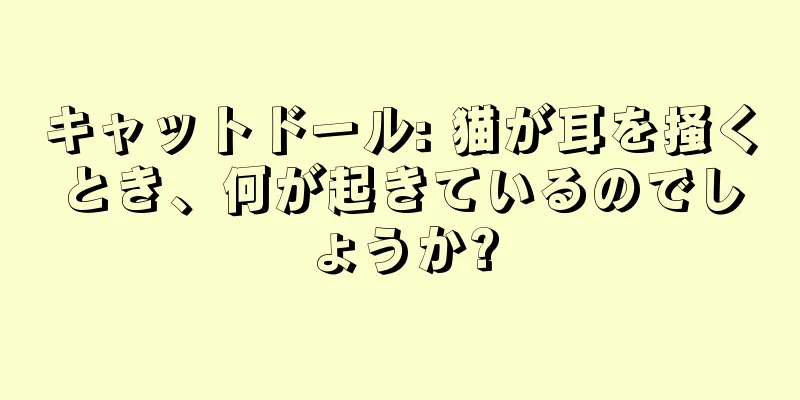 キャットドール: 猫が耳を掻くとき、何が起きているのでしょうか?