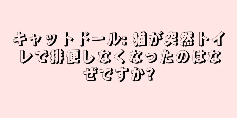 キャットドール: 猫が突然トイレで排便しなくなったのはなぜですか?
