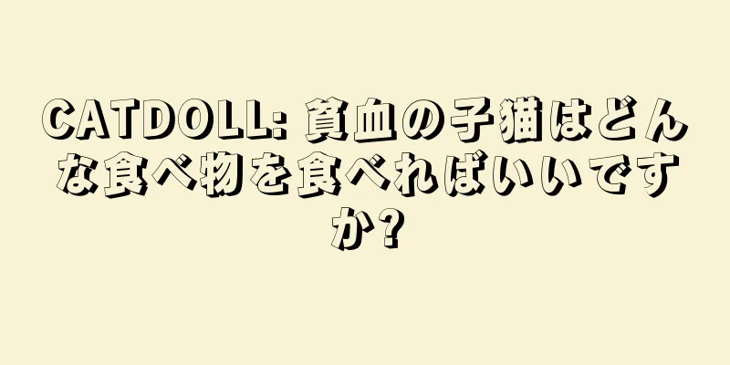 CATDOLL: 貧血の子猫はどんな食べ物を食べればいいですか?