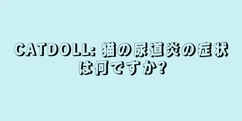 CATDOLL: 猫の尿道炎の症状は何ですか?