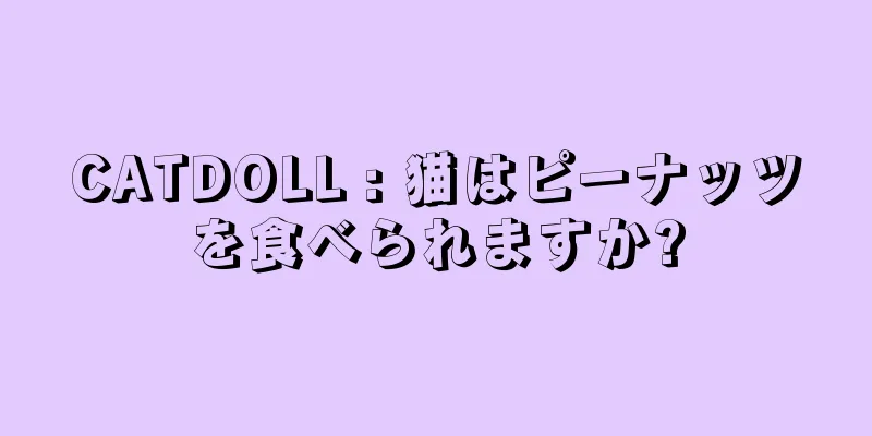 CATDOLL : 猫はピーナッツを食べられますか?