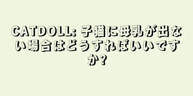 CATDOLL: 子猫に母乳が出ない場合はどうすればいいですか?