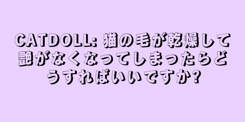 CATDOLL: 猫の毛が乾燥して艶がなくなってしまったらどうすればいいですか?