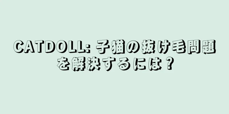 CATDOLL: 子猫の抜け毛問題を解決するには？