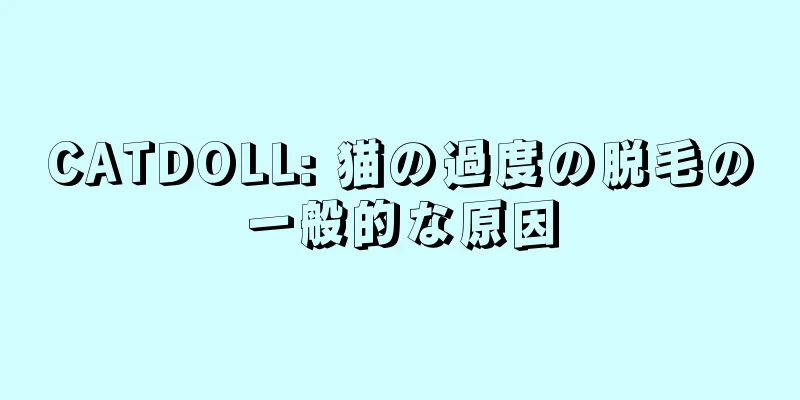 CATDOLL: 猫の過度の脱毛の一般的な原因