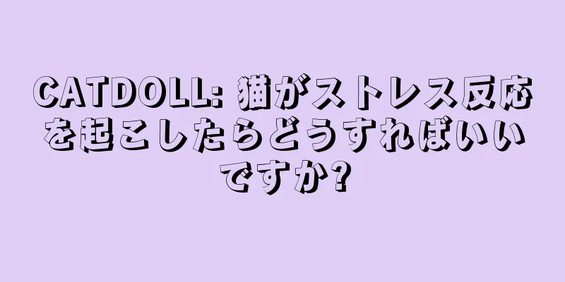 CATDOLL: 猫がストレス反応を起こしたらどうすればいいですか?