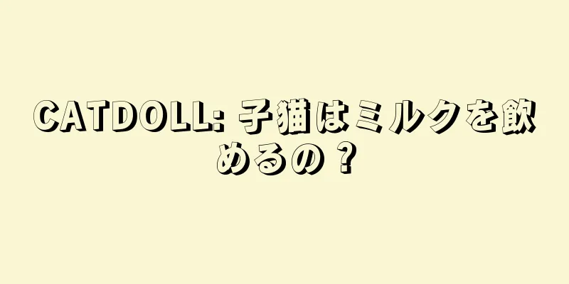 CATDOLL: 子猫はミルクを飲めるの？