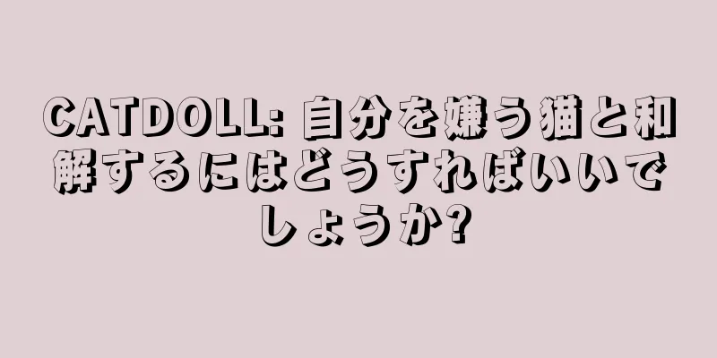 CATDOLL: 自分を嫌う猫と和解するにはどうすればいいでしょうか?