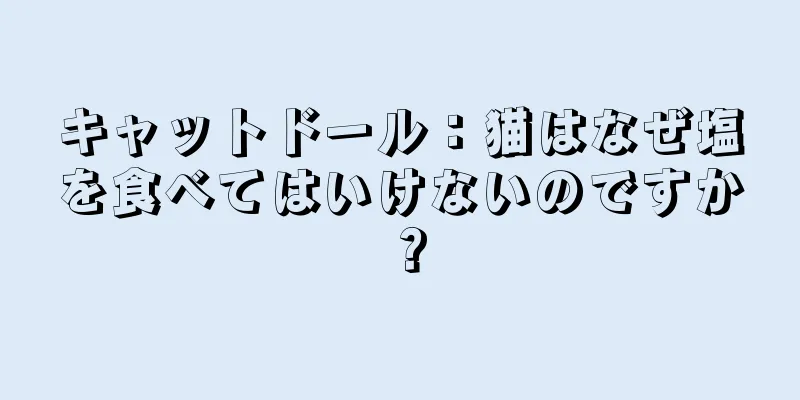 キャットドール：猫はなぜ塩を食べてはいけないのですか？
