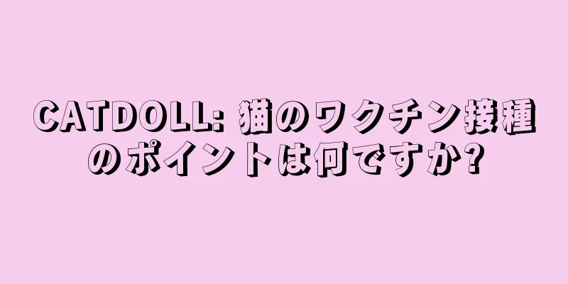 CATDOLL: 猫のワクチン接種のポイントは何ですか?
