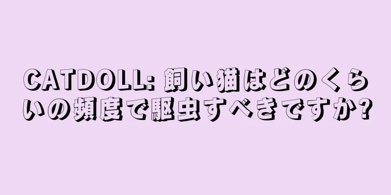 CATDOLL: 飼い猫はどのくらいの頻度で駆虫すべきですか?