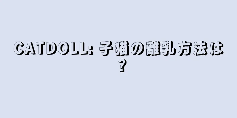 CATDOLL: 子猫の離乳方法は？