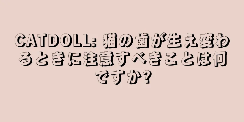 CATDOLL: 猫の歯が生え変わるときに注意すべきことは何ですか?