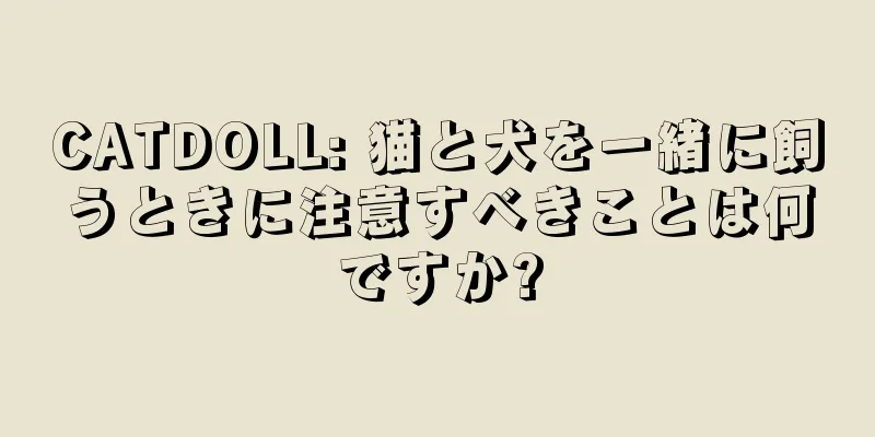 CATDOLL: 猫と犬を一緒に飼うときに注意すべきことは何ですか?