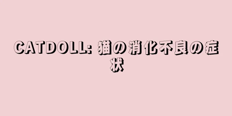 CATDOLL: 猫の消化不良の症状