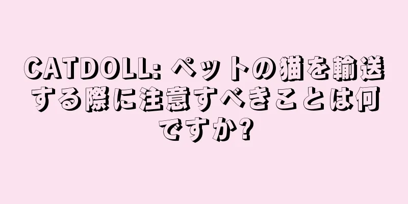 CATDOLL: ペットの猫を輸送する際に注意すべきことは何ですか?
