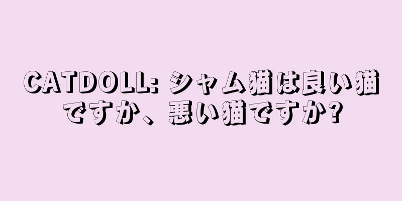 CATDOLL: シャム猫は良い猫ですか、悪い猫ですか?